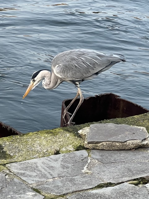 F9699335-7823-4D5D-B0B4-B3A51EA43B51