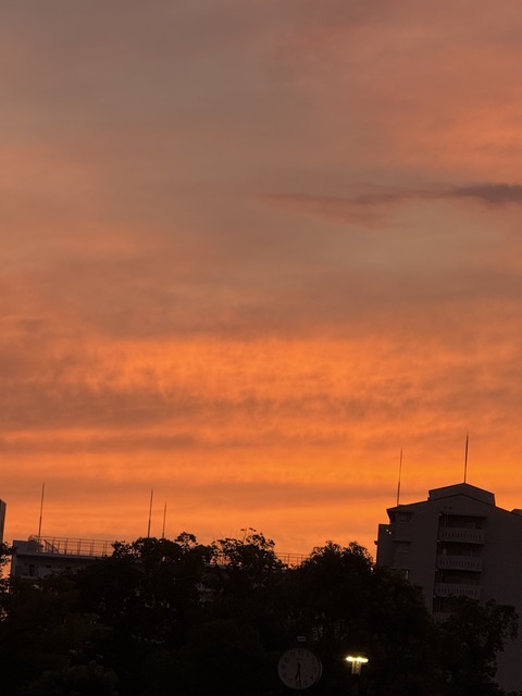 D5695B58-F82E-45BE-8855-92F93EF84D95