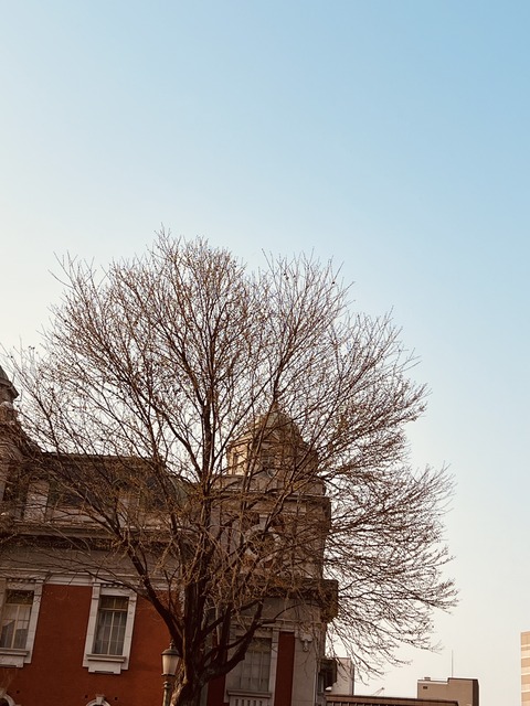 5B64C470-F5E9-474F-BD03-D0B03A4107AC