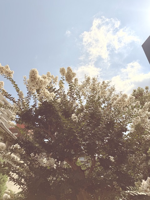 9A47AFE3-119F-4EF1-A1A7-6FA425AB60C8