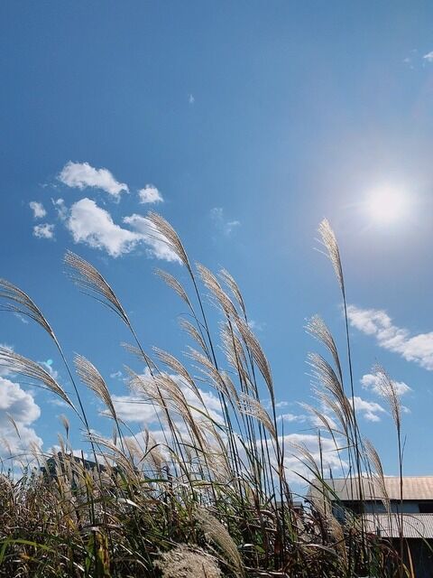 503761677_29749642321350940_856107202526866027_n