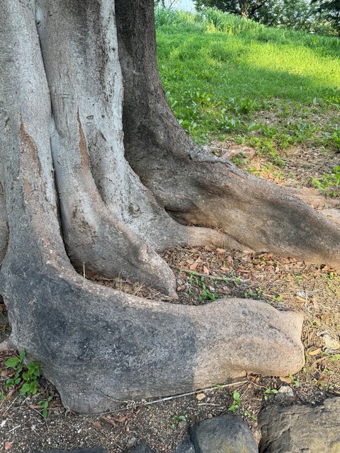 841702CB-C346-481A-AE05-604C1C84A93B