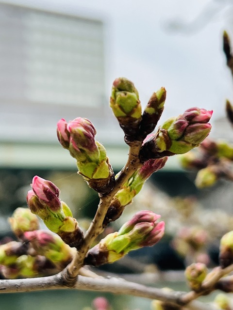 59B8197A-0F1B-443F-A269-366347B02E4E