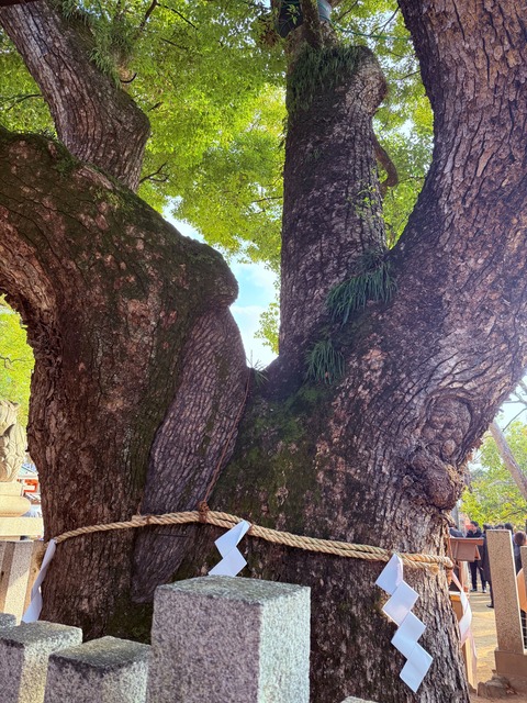 8903EEEE-9847-49D9-B941-0C4164CB5579