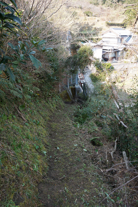 image009