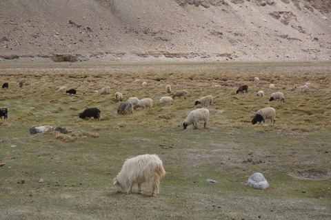 image014