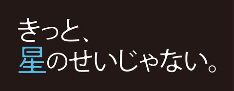 きっと、星のせいじゃない。2