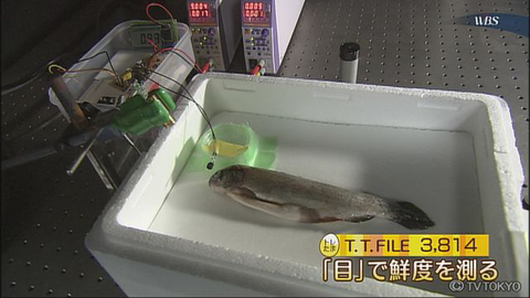KYTVT_tid_0000479764_i