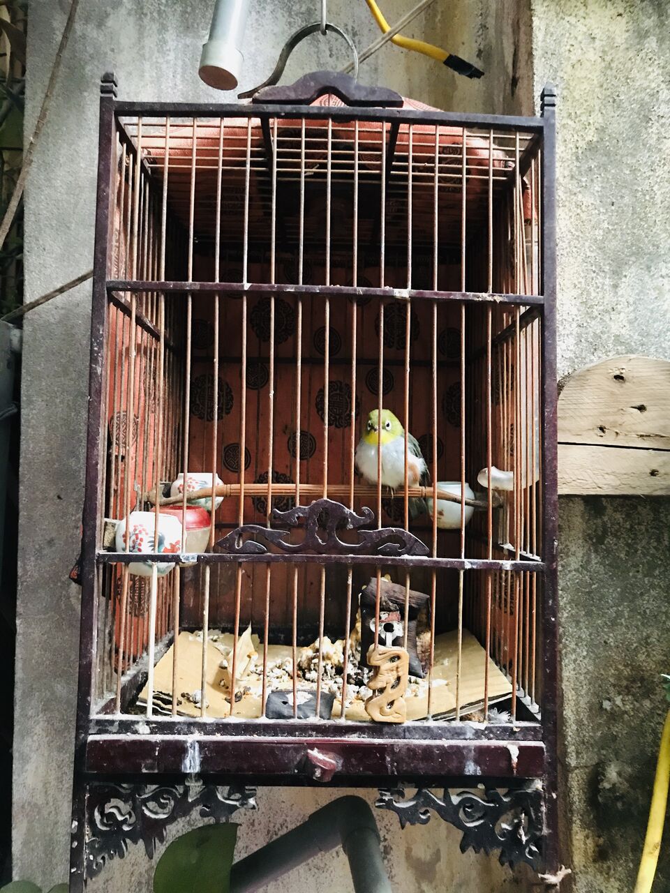 夫婦でずっとベトナム暮らし 鳥籠 夫婦でずっとベトナム暮らし 鳥籠
