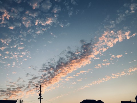 秋空　長くて1023