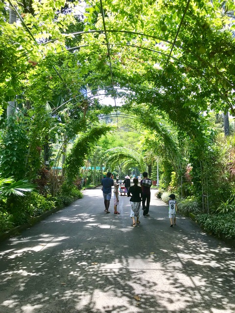 サイゴン動物園緑のアーチ