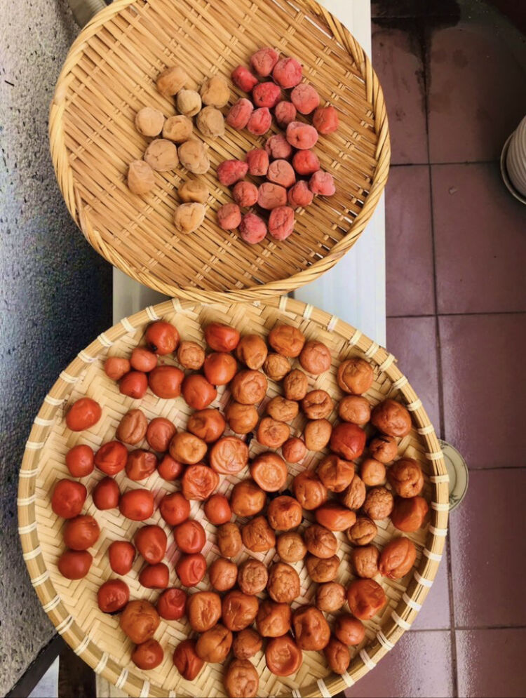 夫婦でずっとベトナム暮らし 梅干し作り