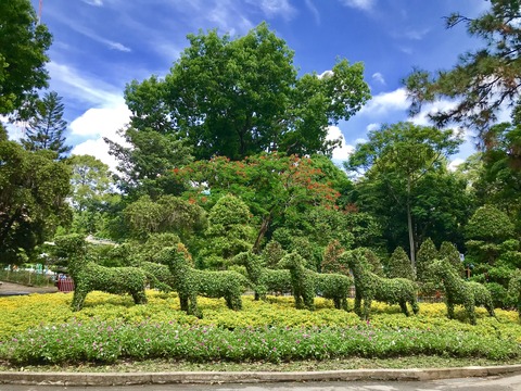 サイゴン動物園庭園