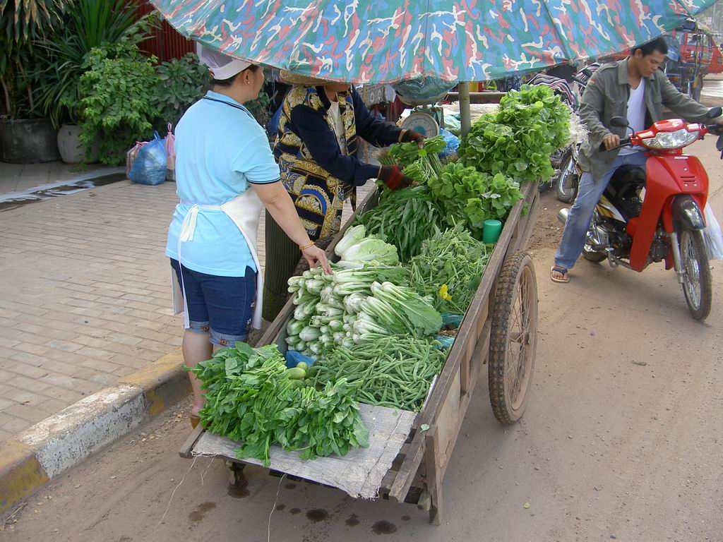 ビエンチャンをうろうろ 野菜売りと果物売り ベトナムをうろうろ ついでにカンボジアもうろうろ おまけで上海も ラオス タイ