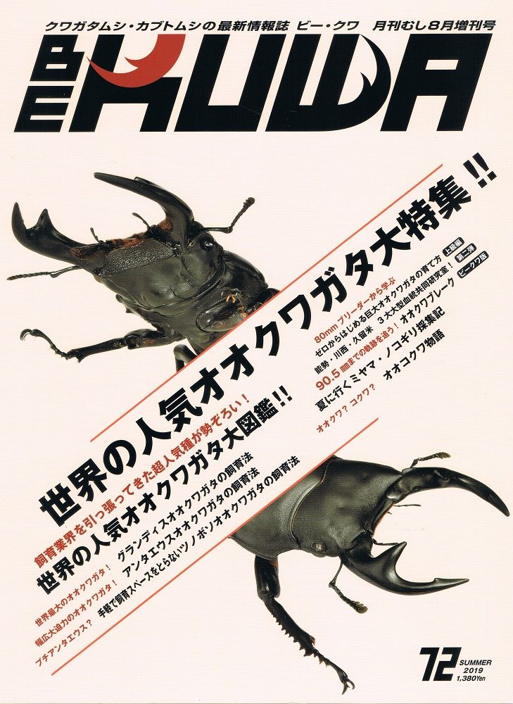 イメージ 1