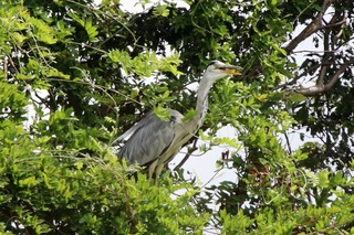IMG_5742