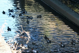 IMG_5815