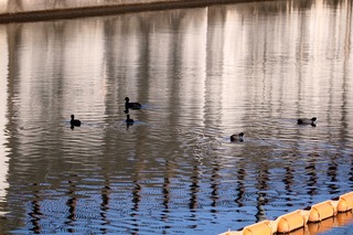 IMG_4626