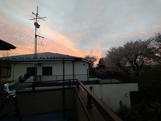 20260404_052017196