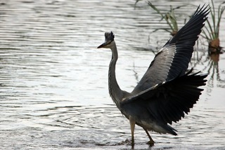 IMG_5032