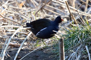 IMG_5713