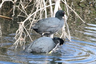 IMG_5552