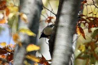 IMG_9777