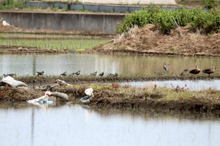 IMG_1550