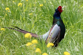 IMG_3098