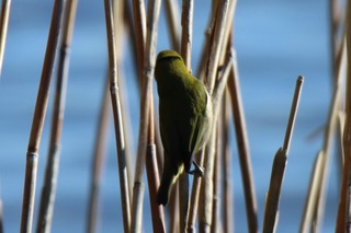 IMG_0067