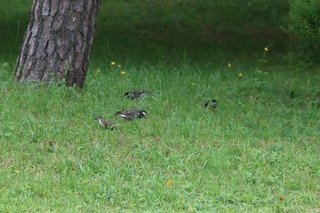 IMG_8587