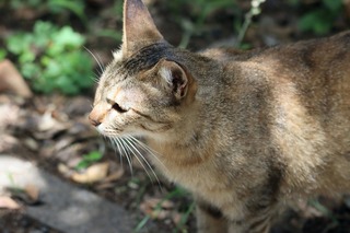 IMG_0857