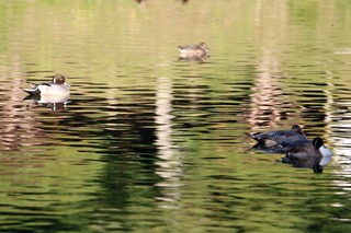 IMG_4788