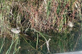 IMG_9900