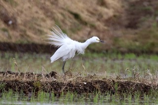 IMG_1447
