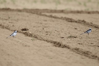 IMG_3172