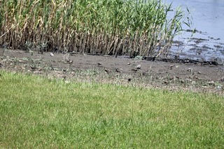 IMG_3171