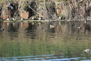 IMG_1664