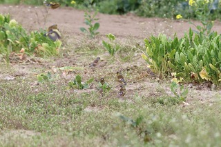 IMG_3084