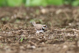 IMG_2857
