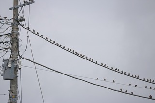 IMG_6200