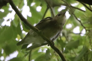 IMG_9451