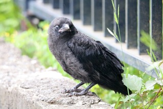 IMG_8657