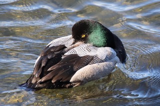 IMG_9658