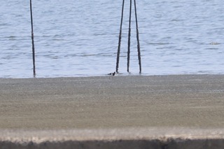 IMG_4985