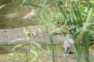 IMG_6158