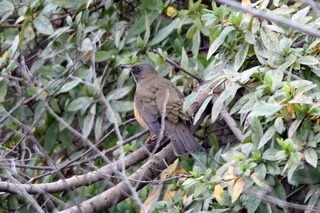IMG_5112