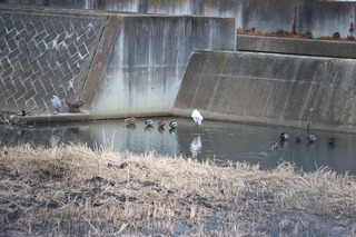 IMG_4513