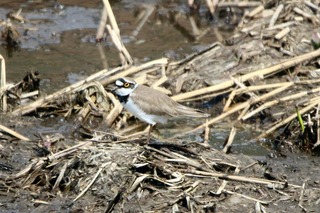 IMG_0682