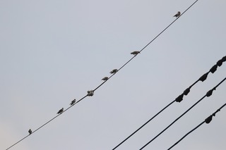 IMG_0028